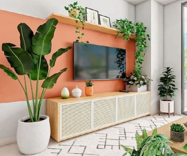 گیاهان در کنار تلویزیون (2)